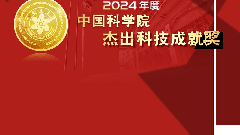 科技浪潮下，揭秘十大科技公司品牌